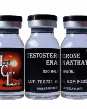 Testosteron Enanthate – Hardcorelabs